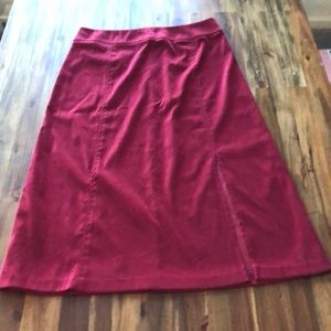 Requirements Velour Skirt